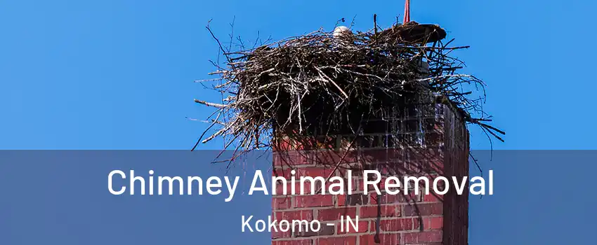 Chimney Animal Removal Kokomo - IN