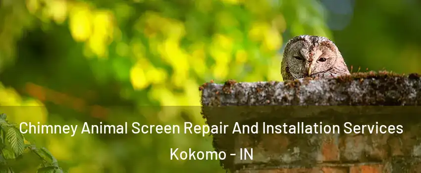  Chimney Animal Screen Repair And Installation Services Kokomo - IN