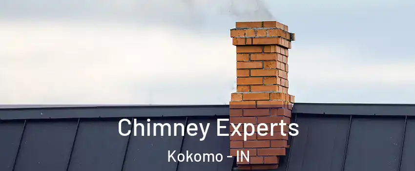 Chimney Experts Kokomo - IN