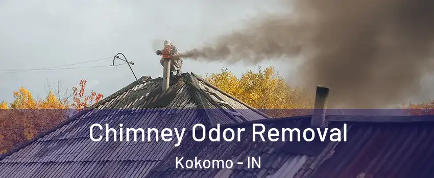  Chimney Odor Removal Kokomo - IN