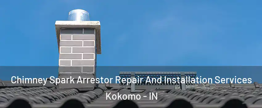  Chimney Spark Arrestor Repair And Installation Services Kokomo - IN