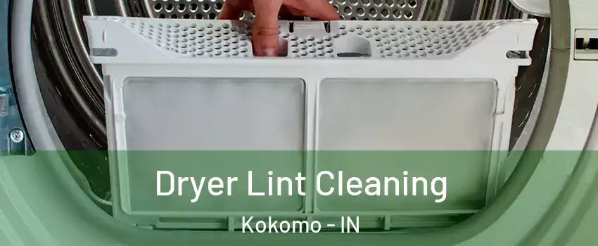  Dryer Lint Cleaning Kokomo - IN