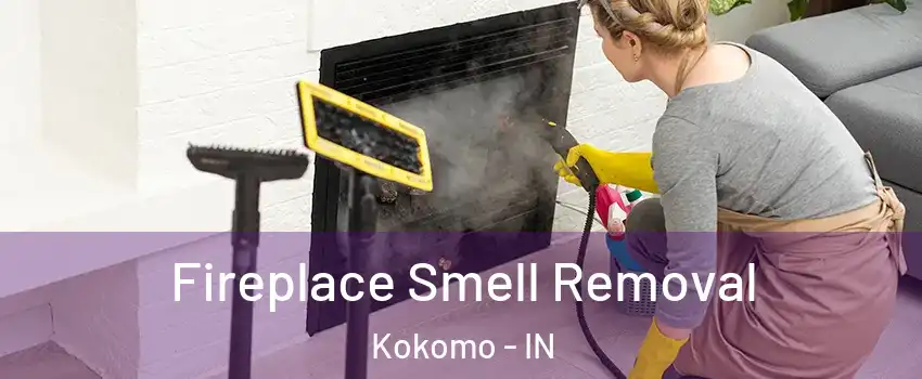  Fireplace Smell Removal Kokomo - IN