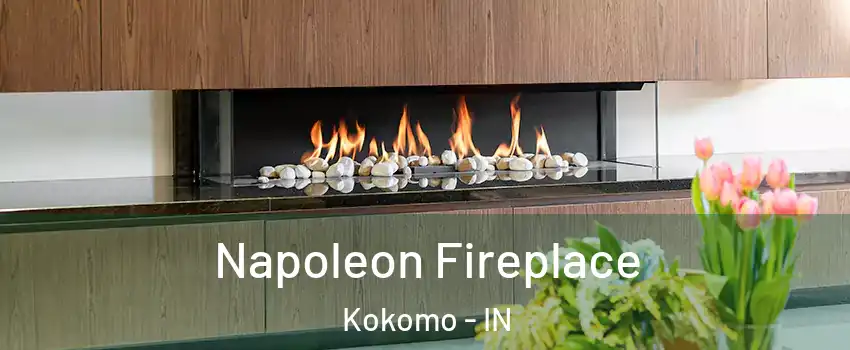  Napoleon Fireplace Kokomo - IN